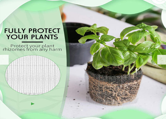 Вязать медный диаметр корзины 0.12mm суслика предохранителя корня